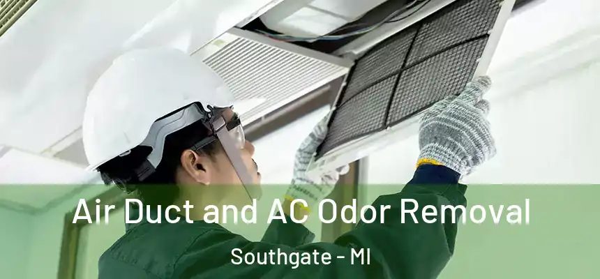 Air Duct and AC Odor Removal Southgate - MI