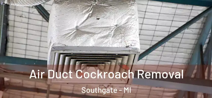  Air Duct Cockroach Removal Southgate - MI