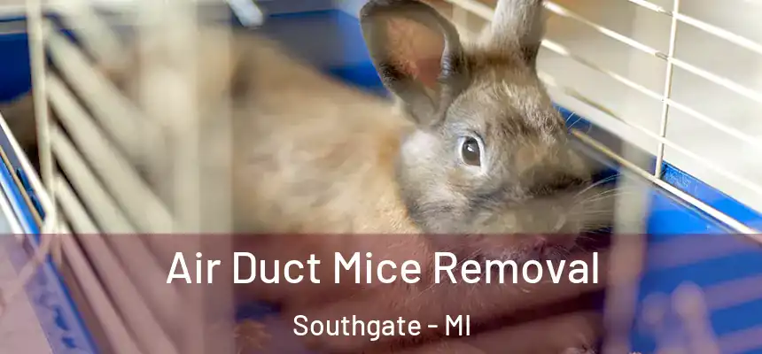 Air Duct Mice Removal Southgate - MI