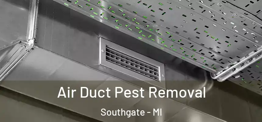  Air Duct Pest Removal Southgate - MI