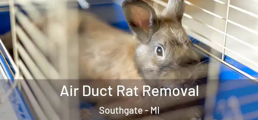  Air Duct Rat Removal Southgate - MI