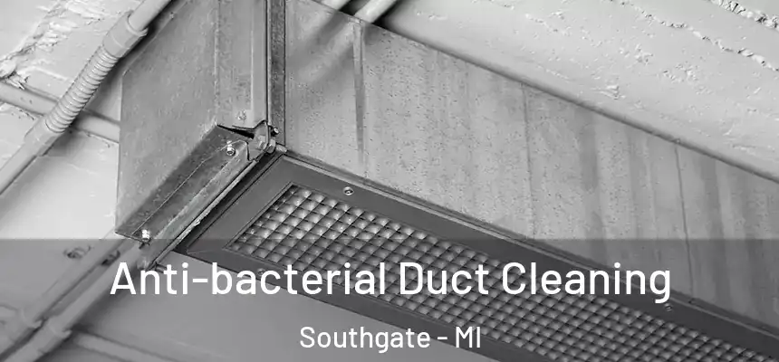  Anti-bacterial Duct Cleaning Southgate - MI