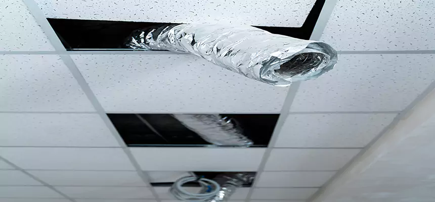 Affordable HVAC Sanitizing After Pest Removal in Southgate