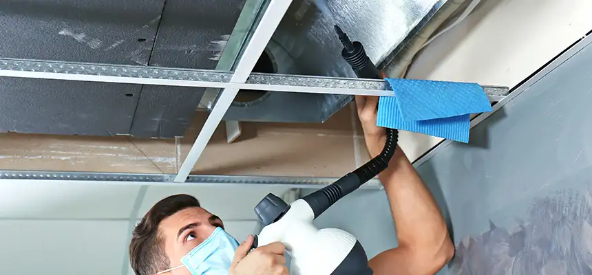 Our Air Duct Rodent Removal Services in Southgate, MI