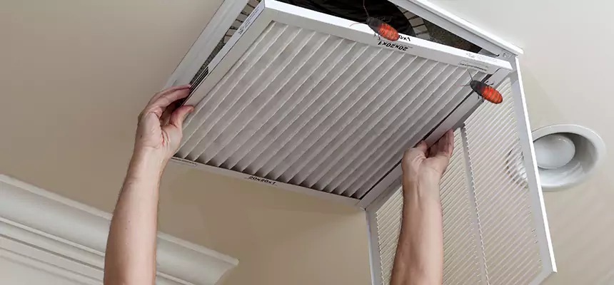 Our Insect Removal from Air Ducts Services in Southgate, MI