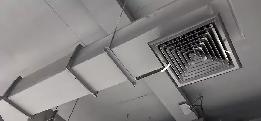 Our Pest Removal From Ducts Services in Southgate, MI