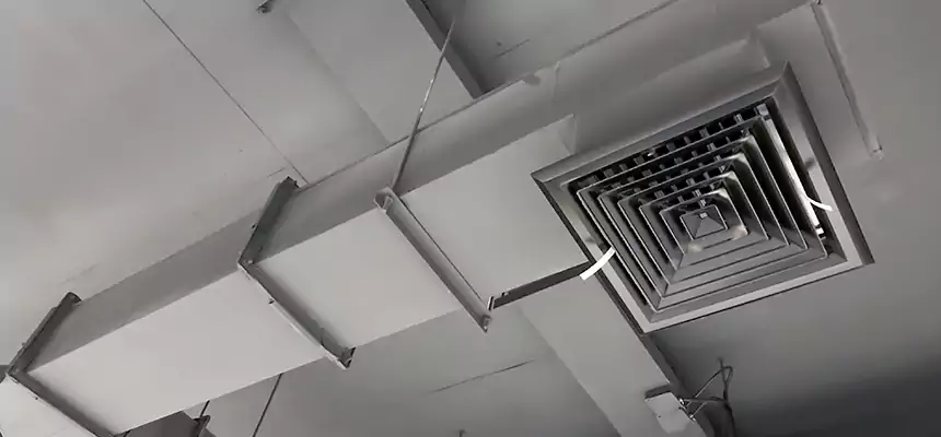 Our Rodent Droppings In Vents Services in Southgate, MI