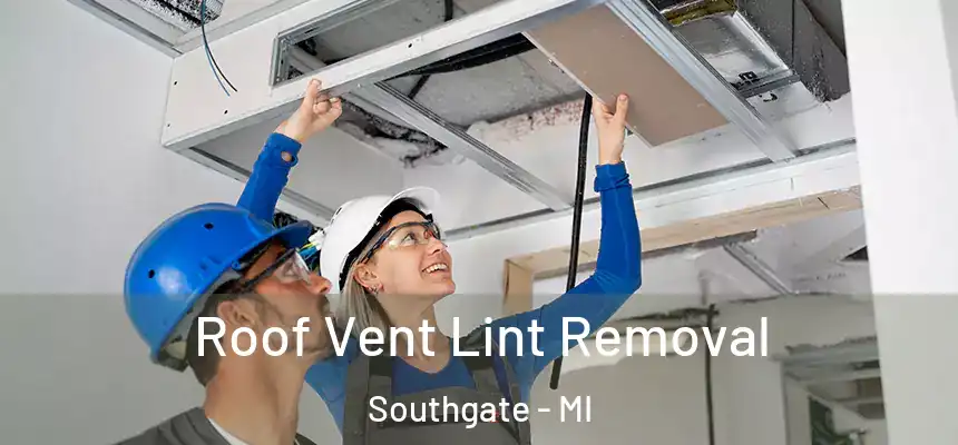  Roof Vent Lint Removal Southgate - MI