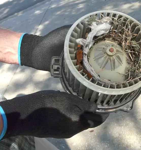 About Air Duct Mice Removal in Southgate, MI