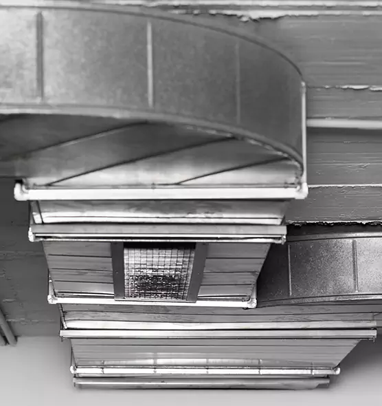 Professional Air Duct Pest Removal in Southgate, MI