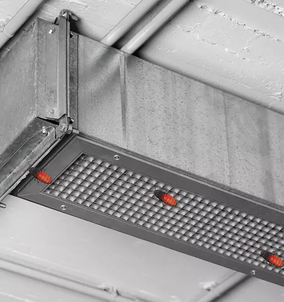 Affordable Insect Removal from Air Ducts in Southgate, MI